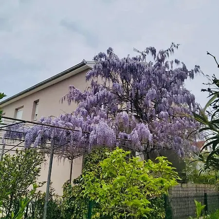 Διαμέρισμα Apartman Dolly