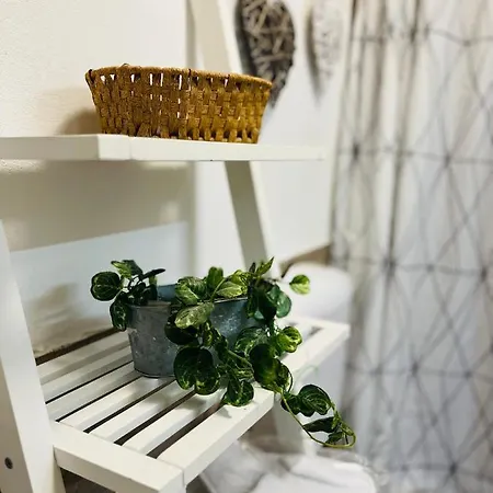 Apartman Dolly 아파트